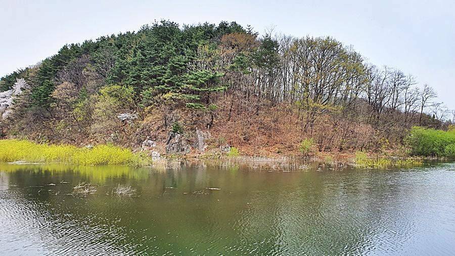 경북상주권 (조황조행기 - 화보조행기)