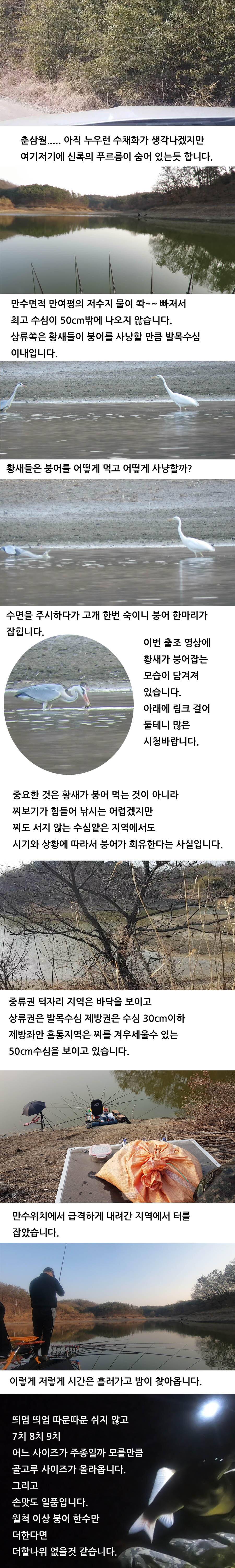 물빠져 수심50전 붕어는 바글 손맛은 일품 (조황조행기 - 화보조행기)