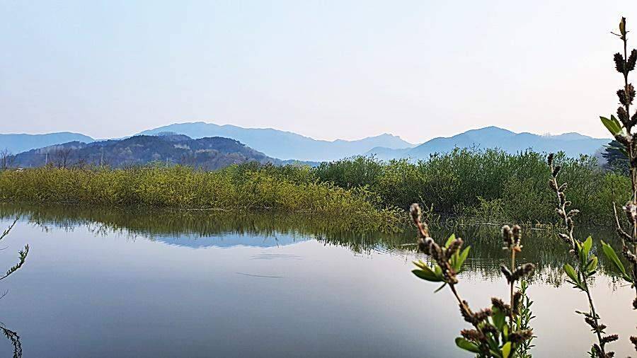 경북상주권 (조황조행기 - 화보조행기)