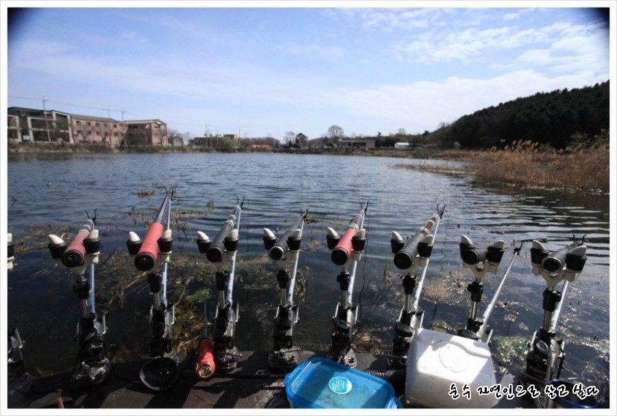 오랜만에 밤을 꼬박 지세우며 (조황조행기 - 화보조행기)