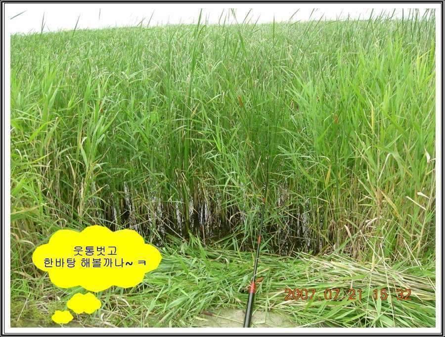 경기도 안성 소류지 (조황조행기 - 화보조행기)
