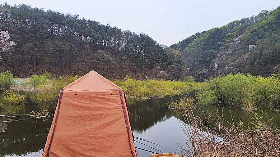 경북상주권 (조황조행기 - 화보조행기)