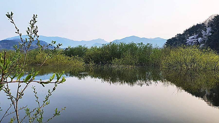 경북상주권 (조황조행기 - 화보조행기)
