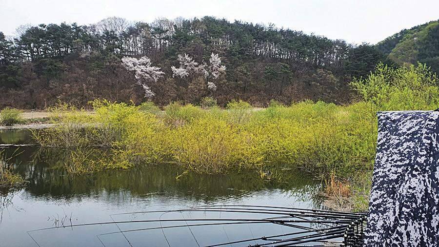 경북상주권 (조황조행기 - 화보조행기)