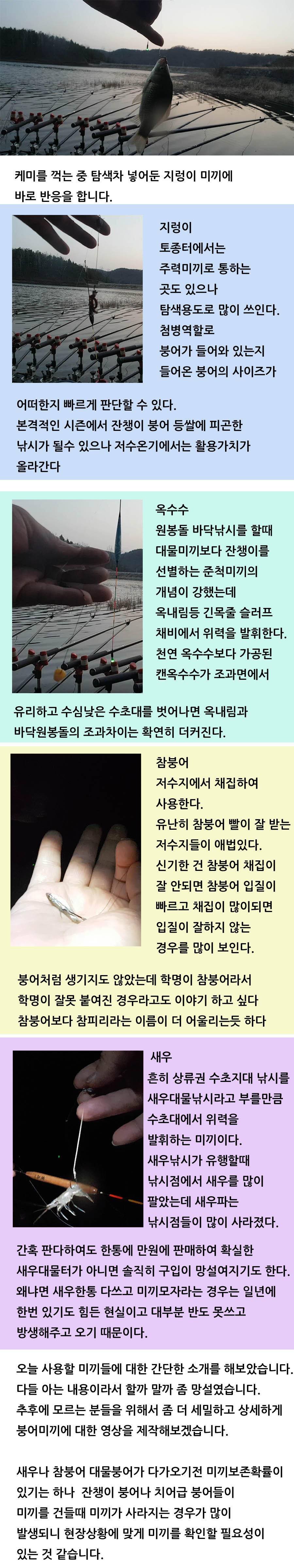 옥내림불가 수초지대 붕어낚시 미끼활용법 (조황조행기 - 화보조행기)