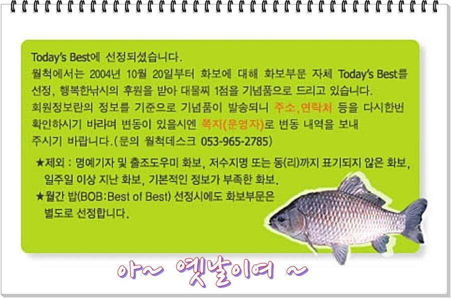 논 또랑 낚시 (조황조행기 - 화보조행기)
