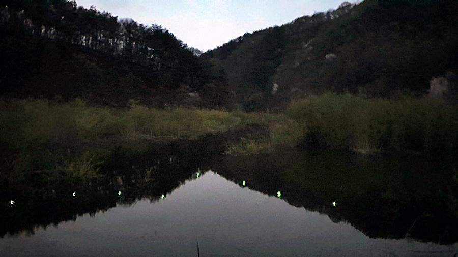 경북상주권 (조황조행기 - 화보조행기)