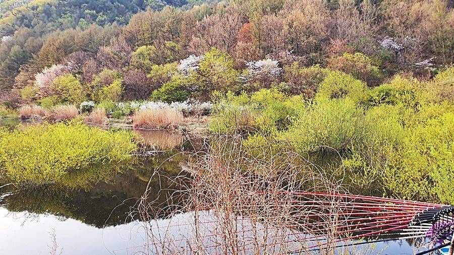 경북상주권 (조황조행기 - 화보조행기)
