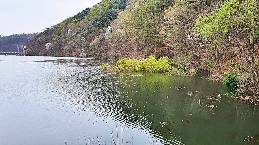 경북상주권 (조황조행기 - 화보조행기)