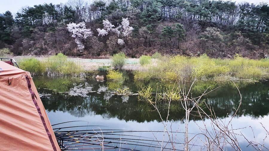 경북상주권 (조황조행기 - 화보조행기)