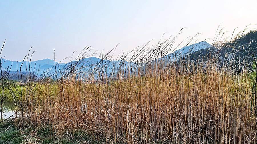 경북상주권 (조황조행기 - 화보조행기)
