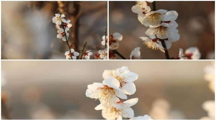2014년 낚시이야기 (조황조행기 - 화보조행기)