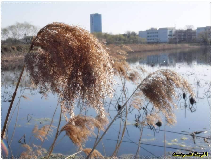 산란구경하러간날 (조황조행기 - 화보조행기)