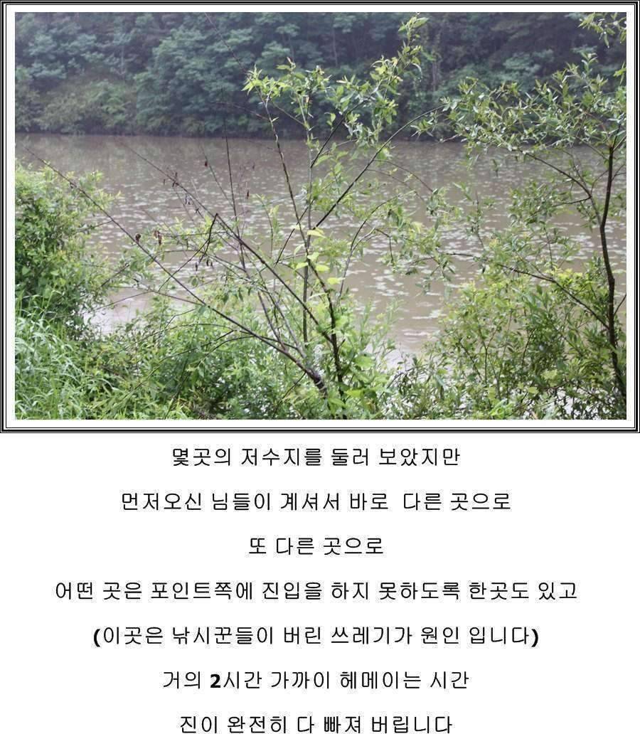 잠못자는 조행96 (조황조행기 - 화보조행기)