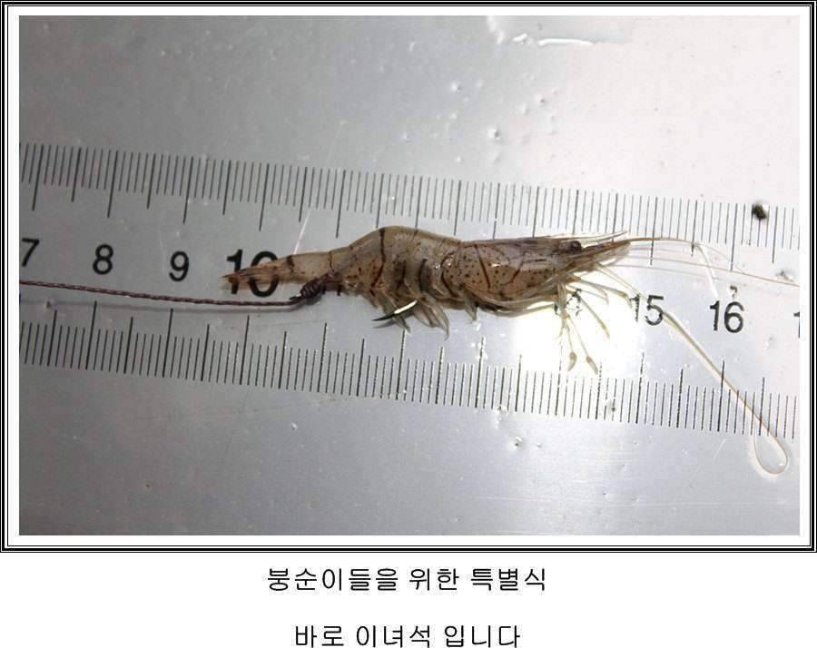 잠못자는 조행96 (조황조행기 - 화보조행기)