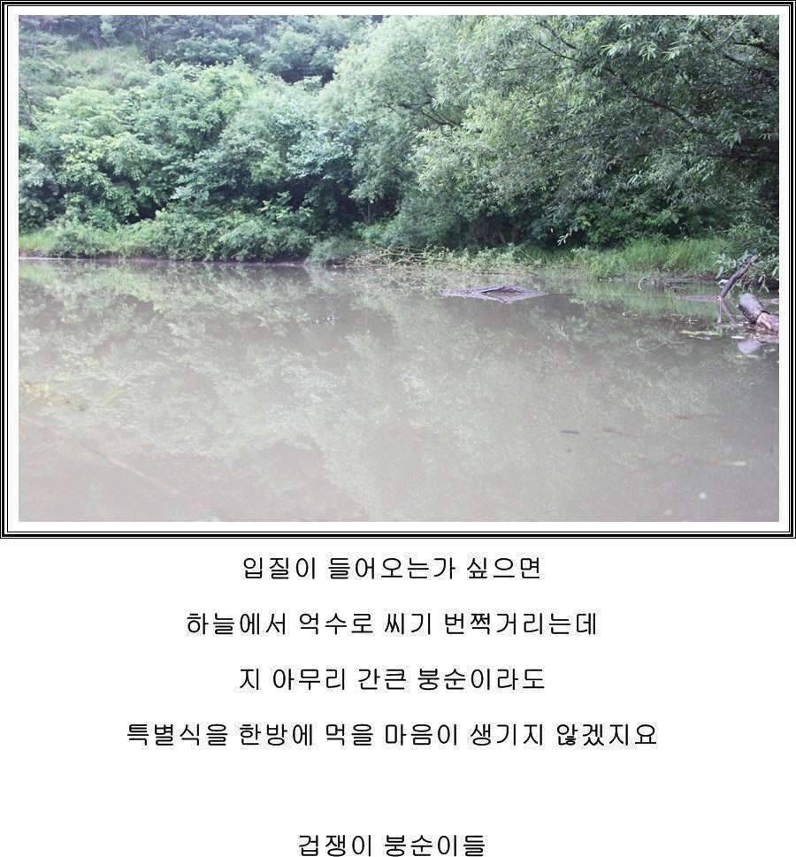 잠못자는 조행96 (조황조행기 - 화보조행기)