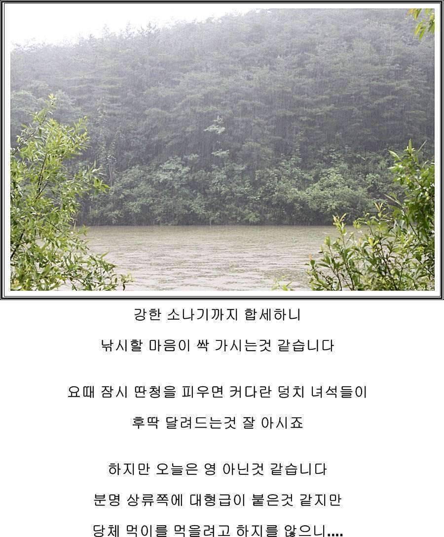 잠못자는 조행96 (조황조행기 - 화보조행기)