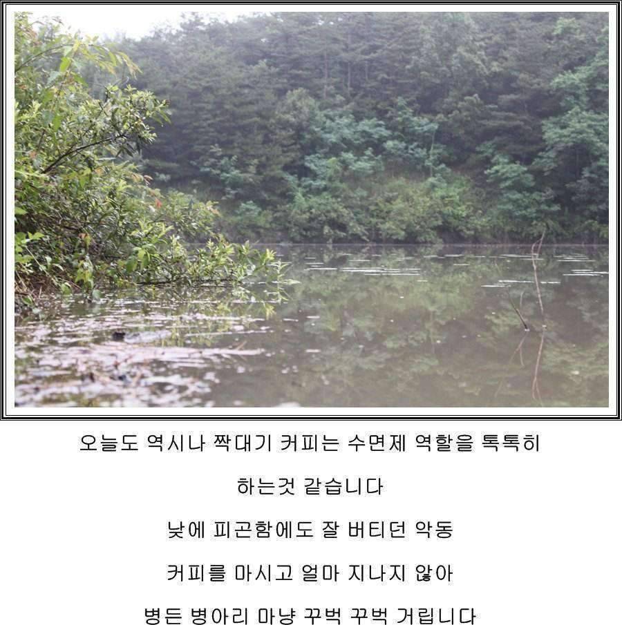 잠못자는 조행96 (조황조행기 - 화보조행기)