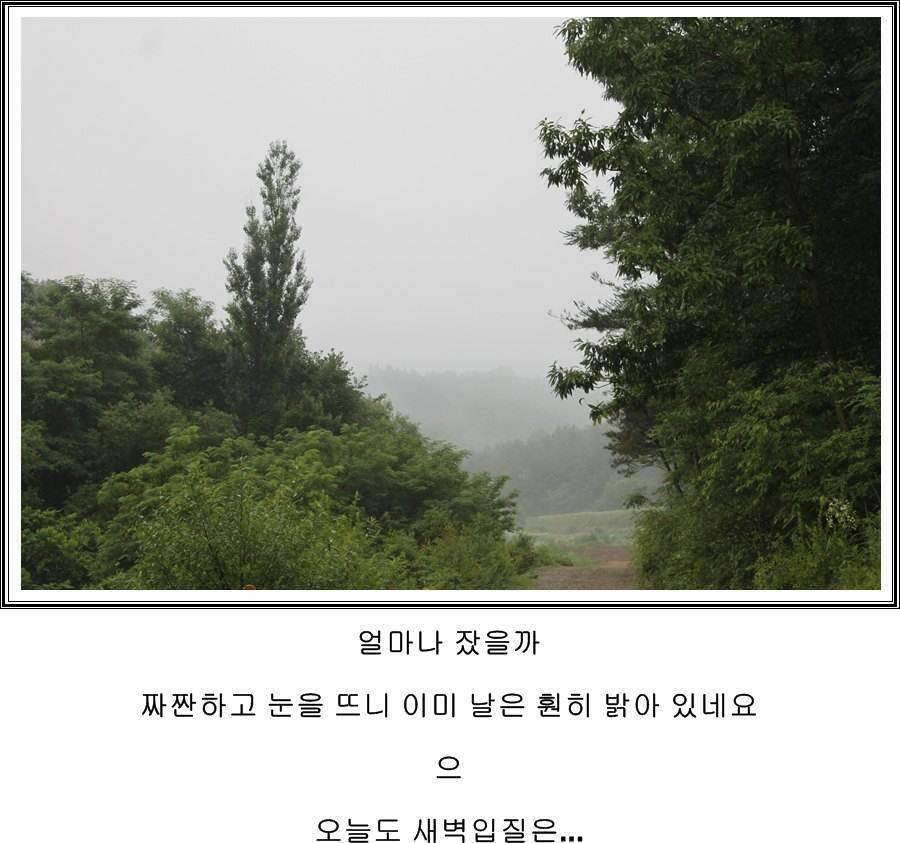 잠못자는 조행96 (조황조행기 - 화보조행기)