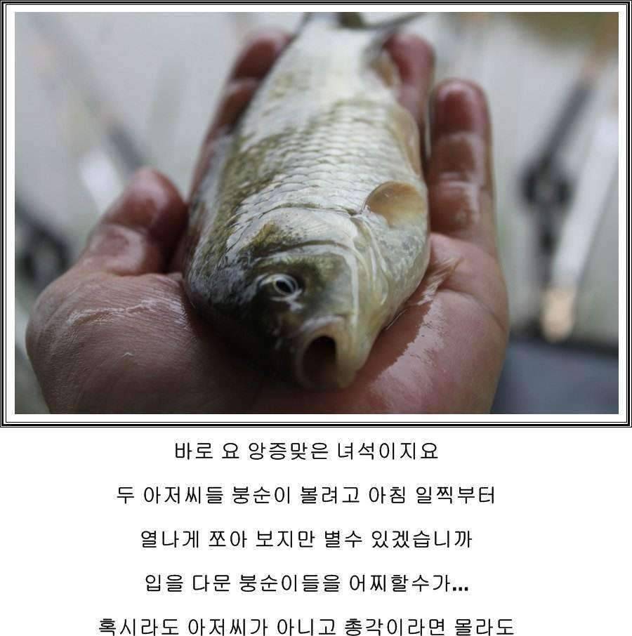 잠못자는 조행96 (조황조행기 - 화보조행기)