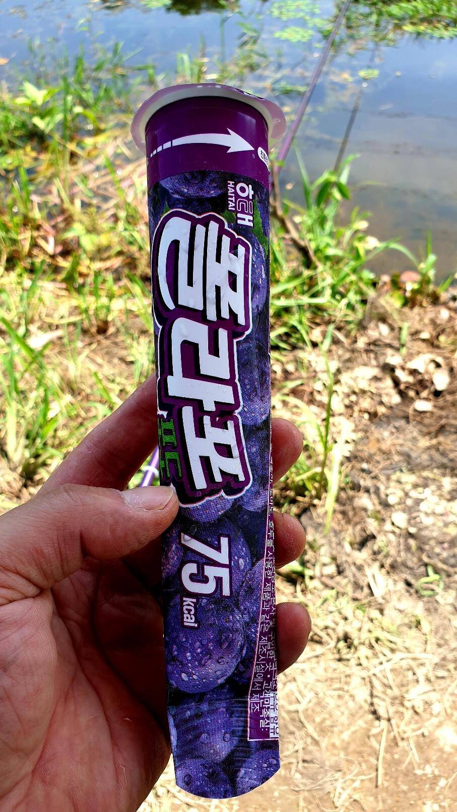 산속놀이터 (조황조행기 - 화보조행기)