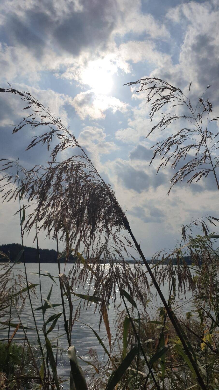 주말번개 (조황조행기 - 화보조행기)