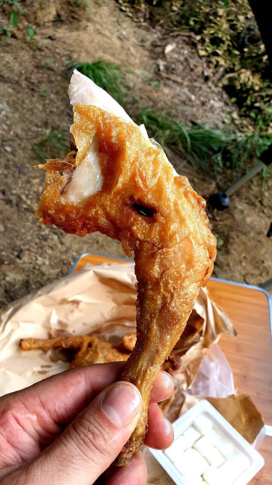 노지 조행기 시즌17화 거북 부대에습격ㅜㅜ (조황조행기 - 화보조행기)
