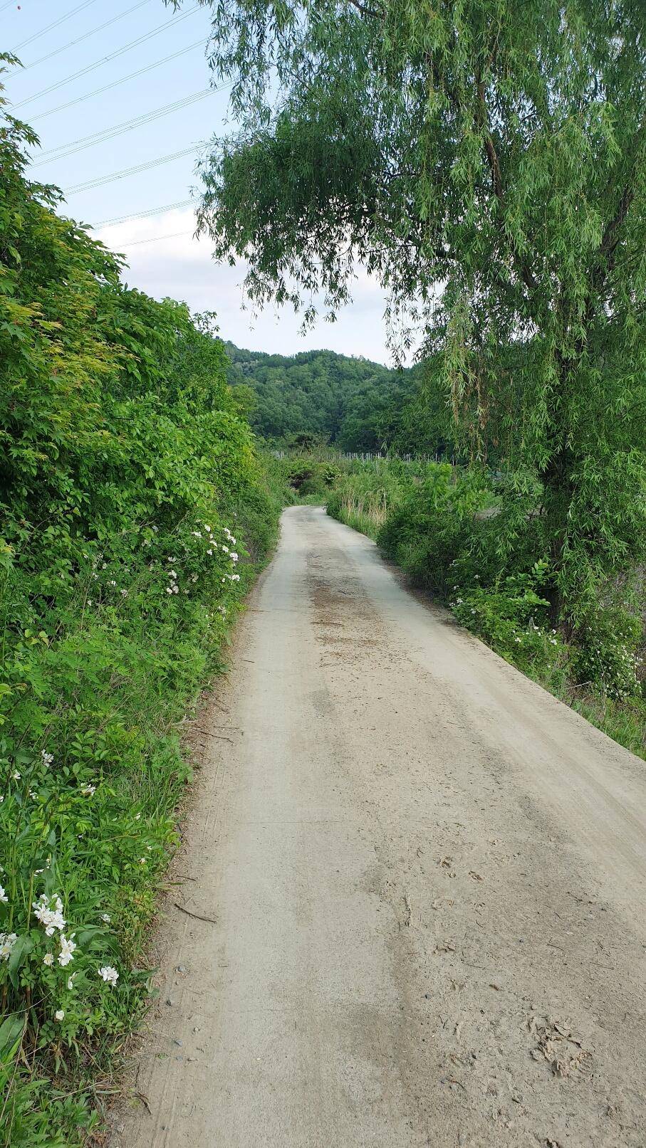 피싱 패밀리 (조황조행기 - 화보조행기)