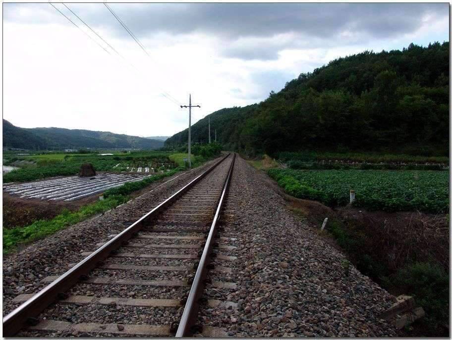 나의 행복한 낚시 (조황조행기 - 화보조행기)