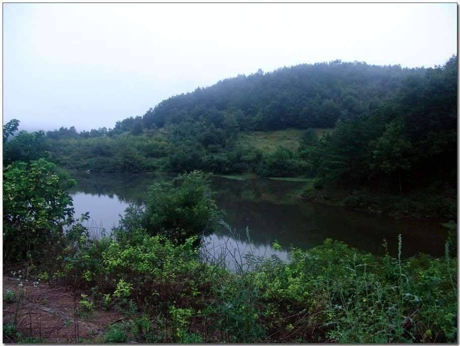 나의 행복한 낚시 (조황조행기 - 화보조행기)