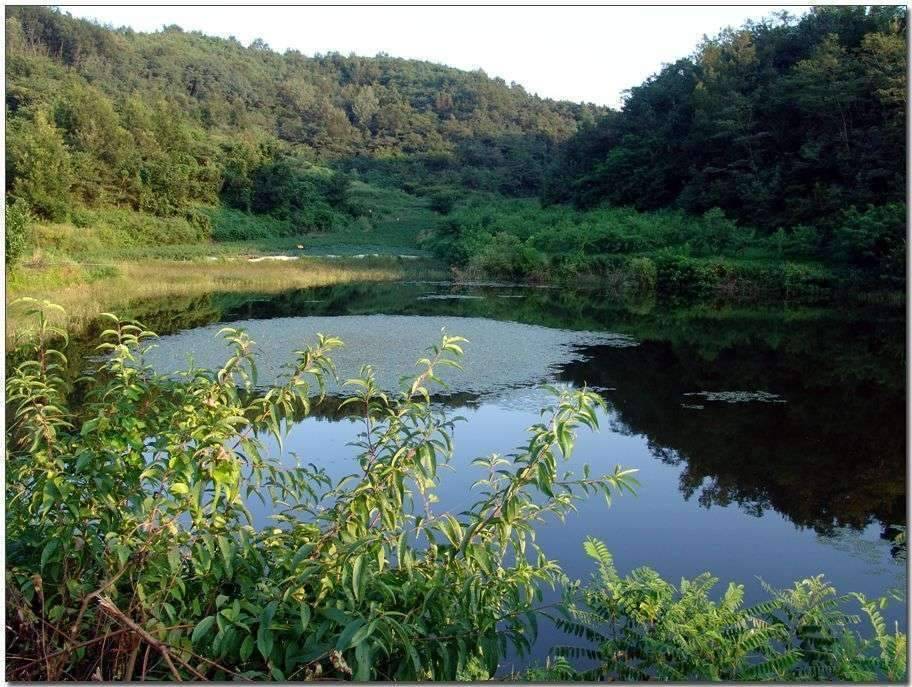 나의 행복한 낚시 (조황조행기 - 화보조행기)
