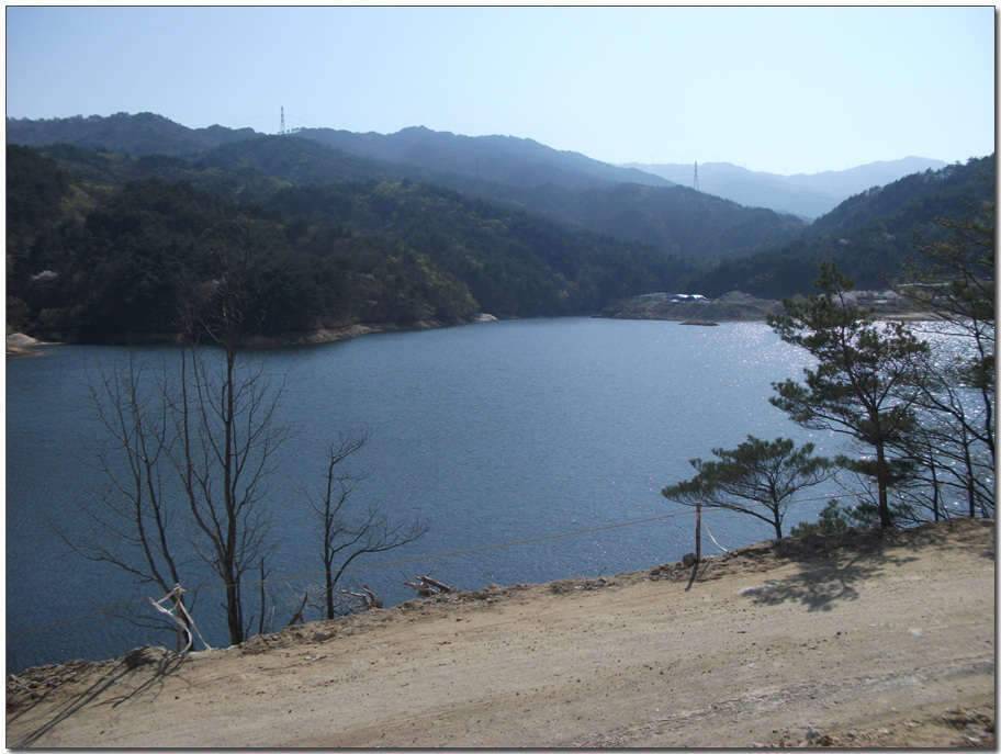 반가운동생 (조황조행기 - 화보조행기)
