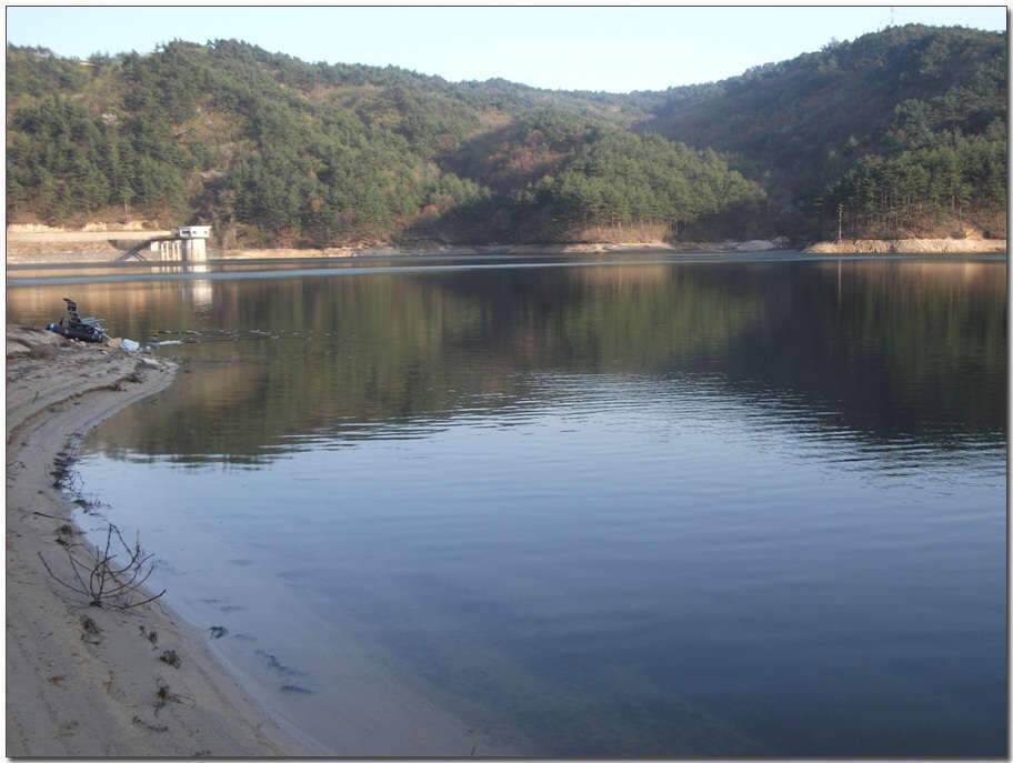 반가운동생 (조황조행기 - 화보조행기)