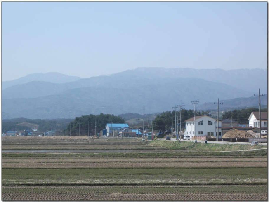 반가운동생 (조황조행기 - 화보조행기)
