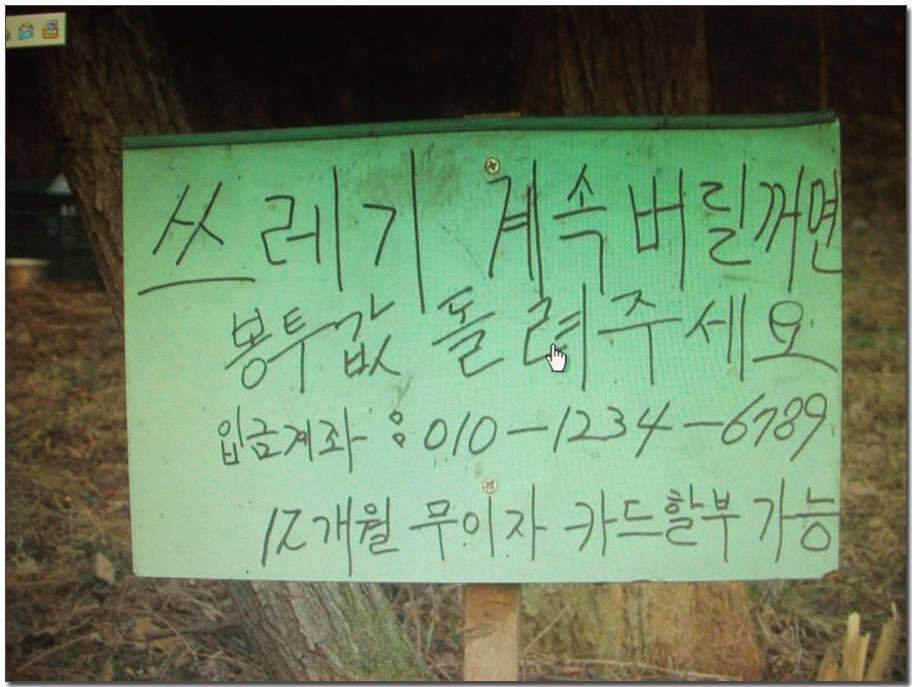 반가운동생 (조황조행기 - 화보조행기)