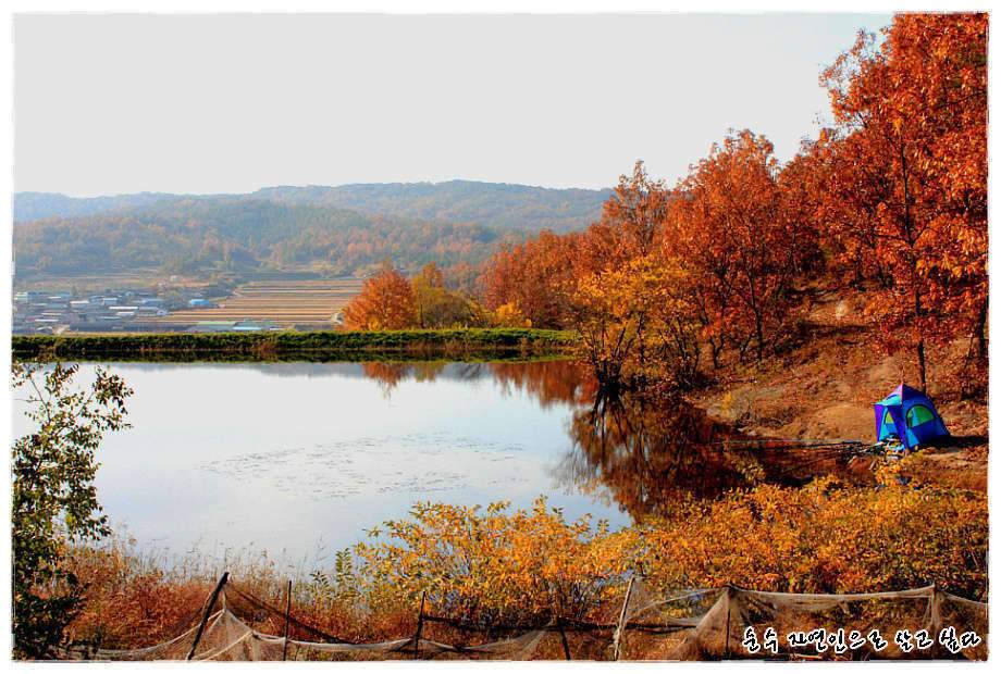 꾼이야의 낚시여정 제8탄 경북 의성권으로의 여정 (조황조행기 - 화보조행기)