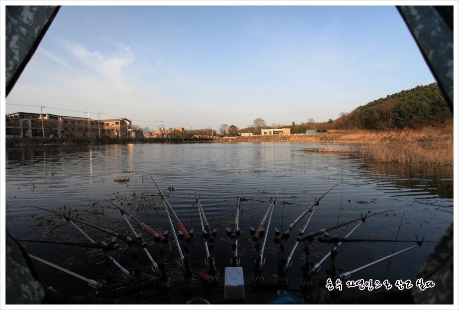 오랜만에 밤을 꼬박 지세우며 (조황조행기 - 화보조행기)
