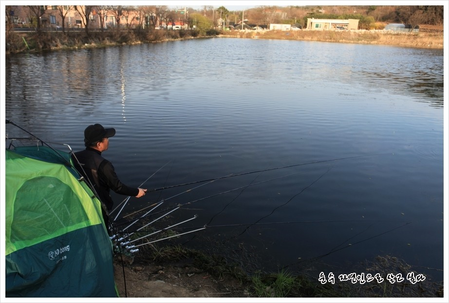 오랜만에 밤을 꼬박 지세우며 (조황조행기 - 화보조행기)