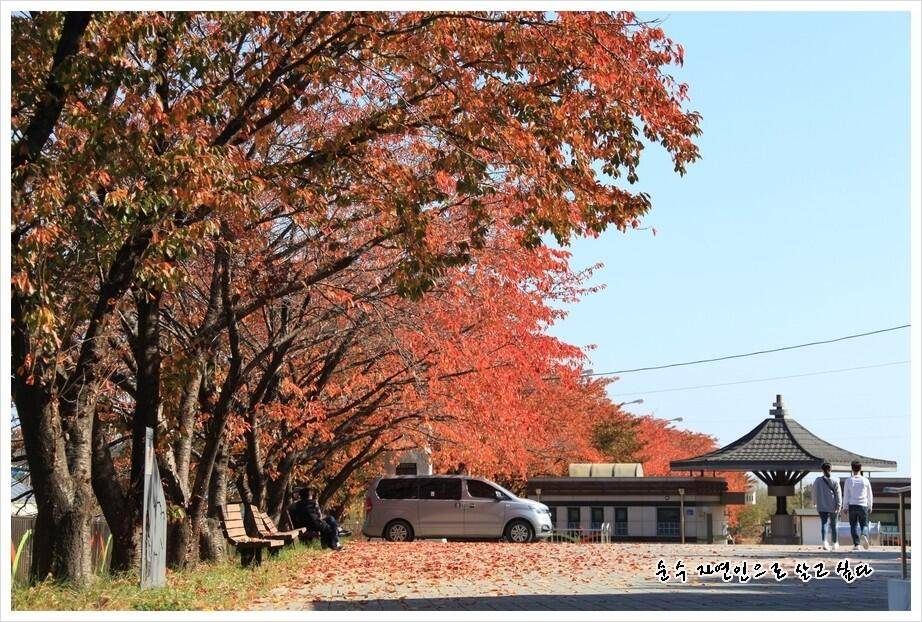 꾼이야 낚시여정 212편 버렸던 소류지에서 월척을 (조황조행기 - 화보조행기)