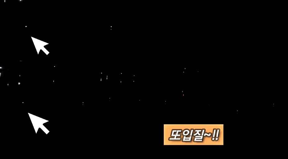 연밭 뽕치기 월척붕어들 (조황조행기 - 화보조행기)