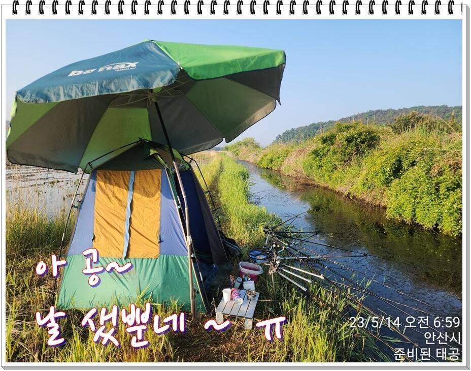 논 또랑 낚시 (조황조행기 - 화보조행기)