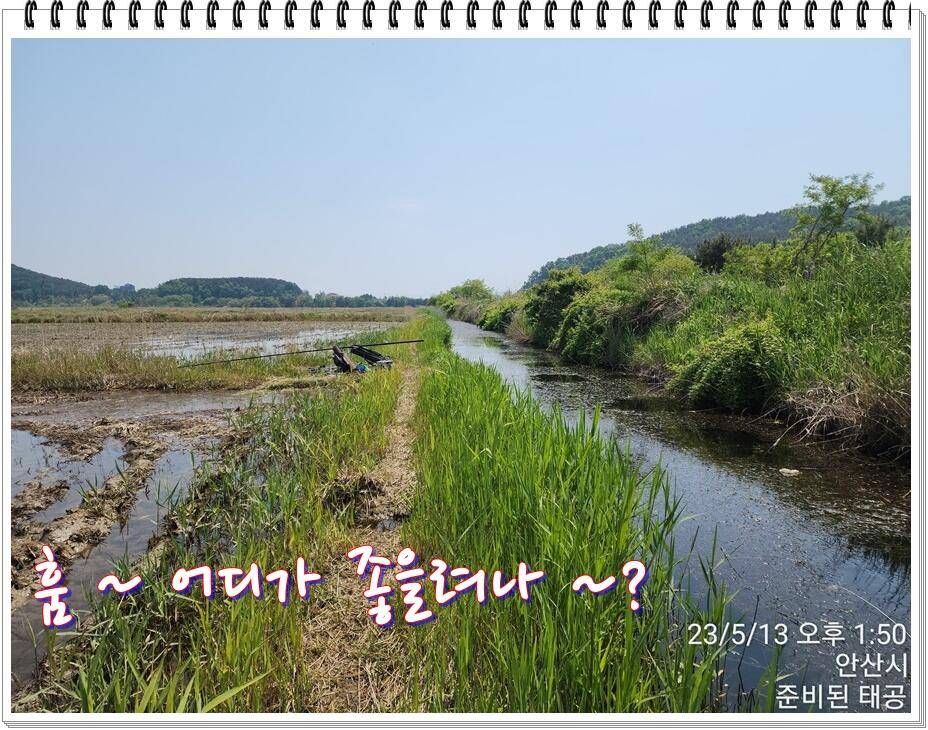 논 또랑 낚시 (조황조행기 - 화보조행기)