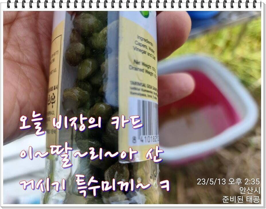 논 또랑 낚시 (조황조행기 - 화보조행기)