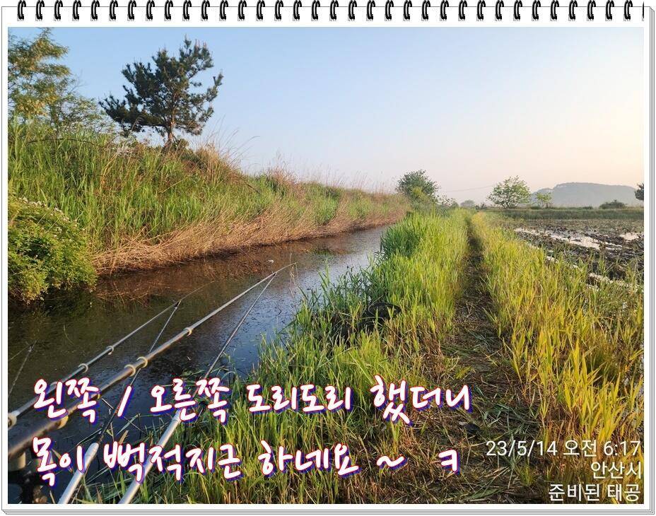 논 또랑 낚시 (조황조행기 - 화보조행기)