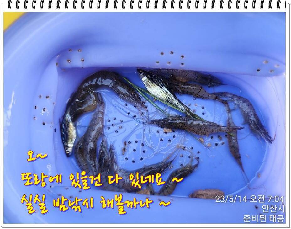 논 또랑 낚시 (조황조행기 - 화보조행기)