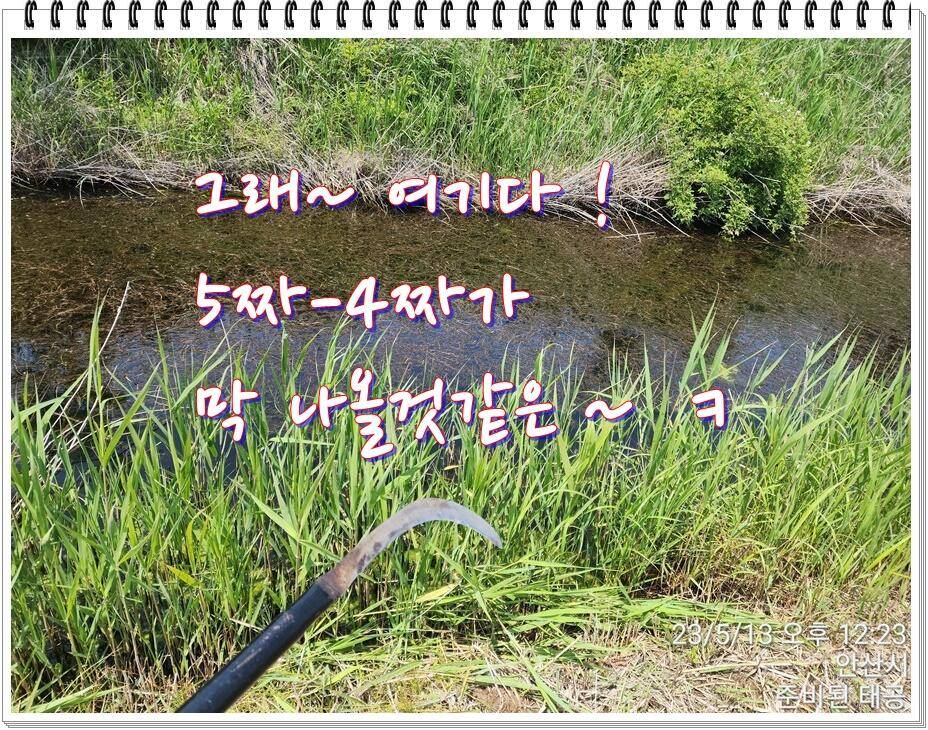 논 또랑 낚시 (조황조행기 - 화보조행기)