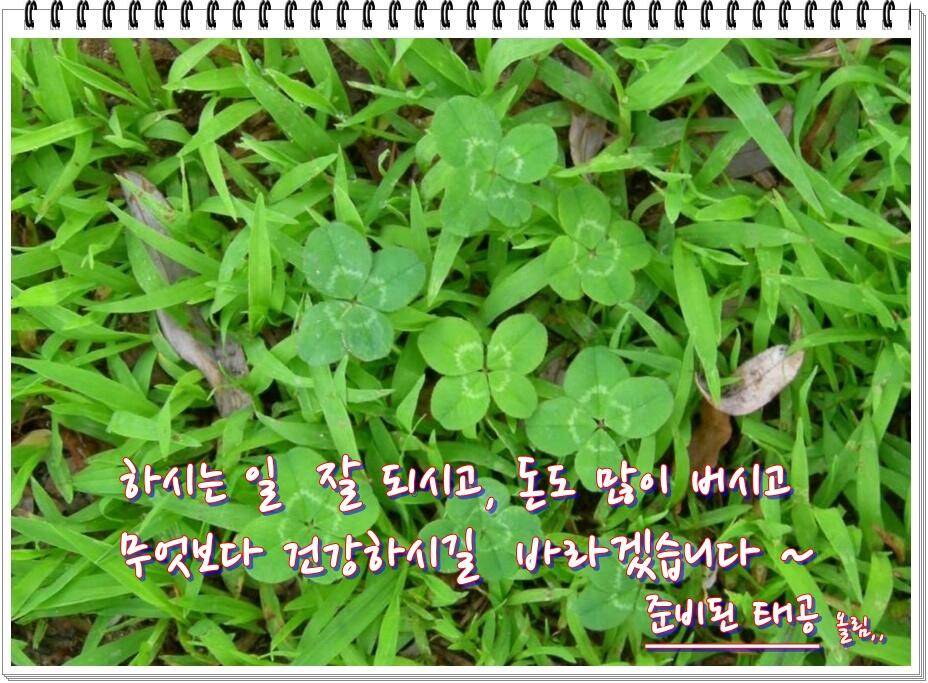 논 또랑 낚시 (조황조행기 - 화보조행기)