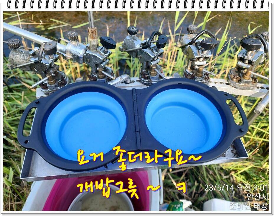 논 또랑 낚시 (조황조행기 - 화보조행기)