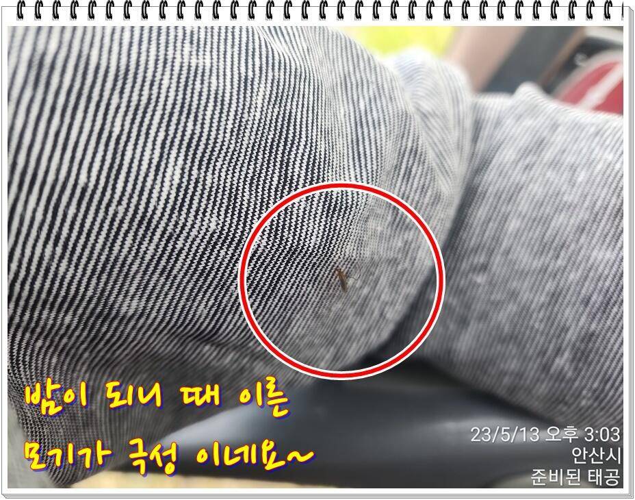 논 또랑 낚시 (조황조행기 - 화보조행기)