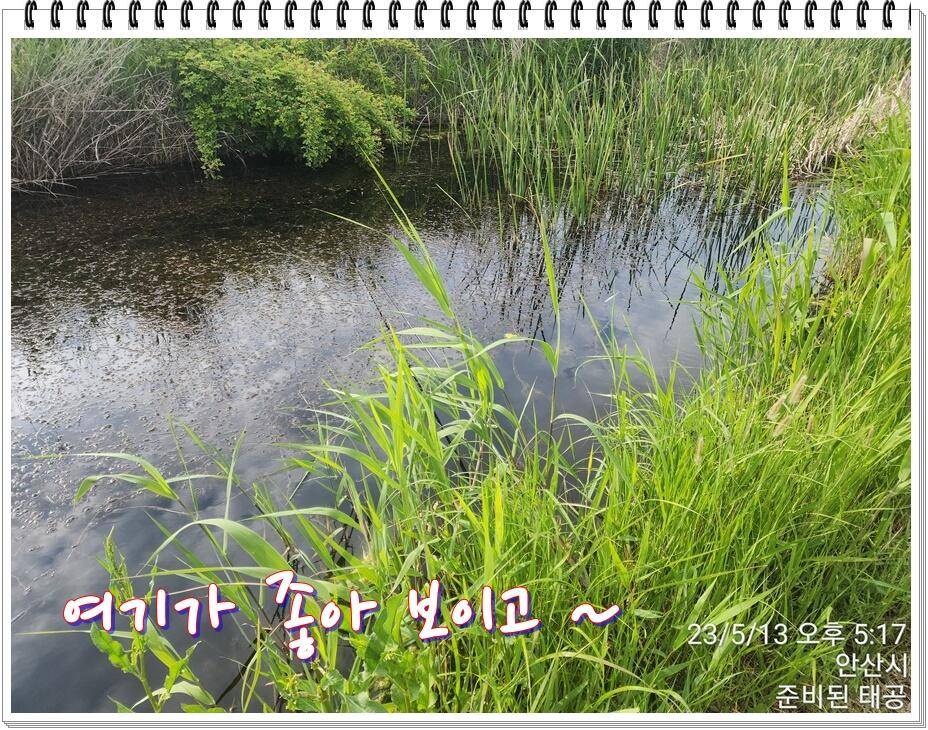 논 또랑 낚시 (조황조행기 - 화보조행기)